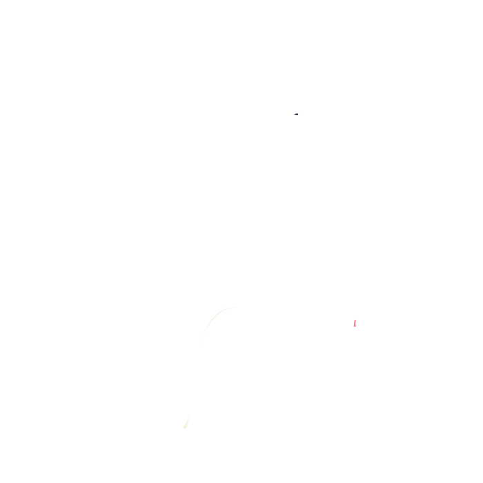 Oral Surgery